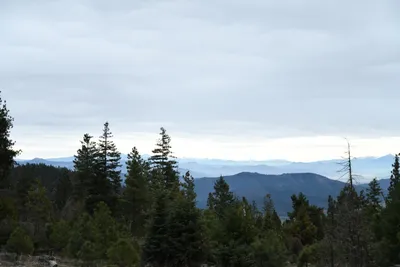 DSC_0151 (Large).JPG